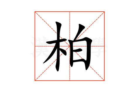 柏 同音字|《柏》的拼音,柏字的意思、组词、部首、笔画、笔顺